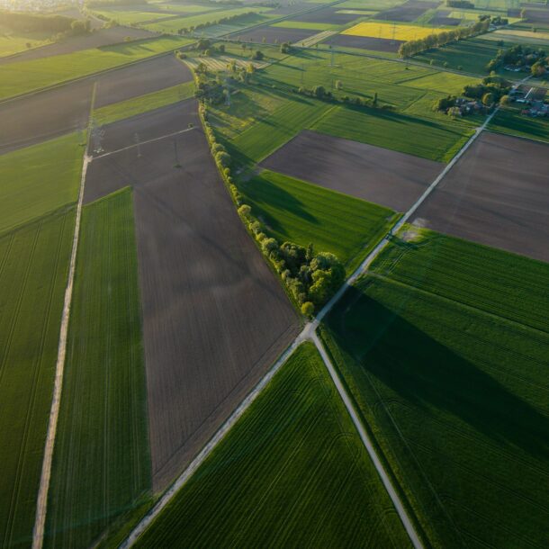Vista aérea de campos agrícolas de distintos tonos, separados por caminos rurales.